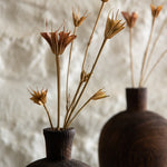 Dried Natural Love in a Mist Bunch - dried flowers, fluted sea pods 