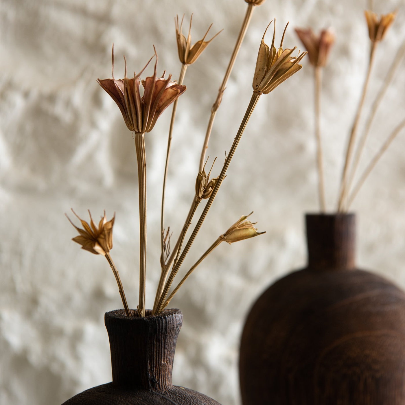 Dried Natural Love in a Mist Bunch - dried flowers, fluted sea pods 
